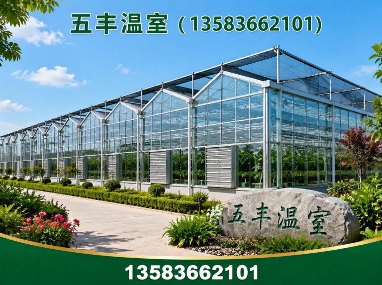 昌乐县大棚建设展示图